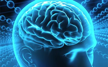 İnsan beyninin sirləri: Beyinin müdafiə funksiyaları 