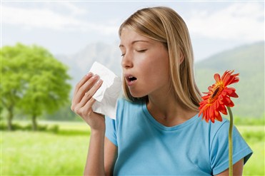 Allergiyanı yaradan səbəblər 